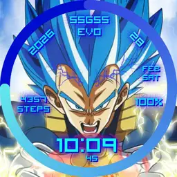 SSGSS Evo Vegeta Copy