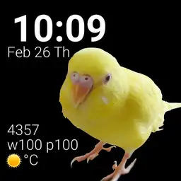 Chibikko Watch