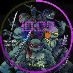 TMNT Cowabunga