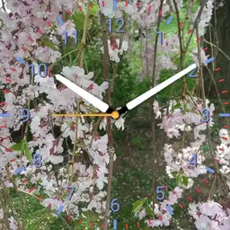 Just a nice watch