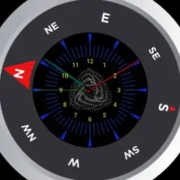 WIERD COMPASS