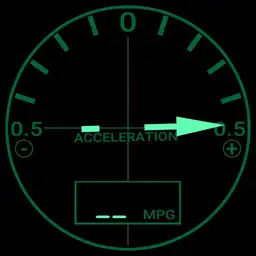 Z31 Acceleration Gauge