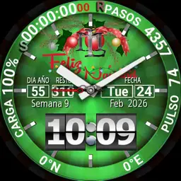 LiMon Navidad