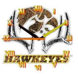 iowa Hawkeyes
