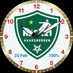 HSC21 analoog