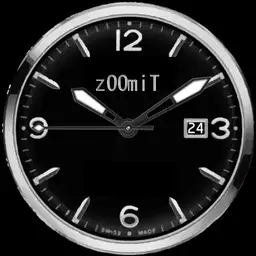 FaceZoomIt