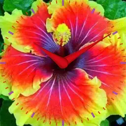 Bright Flower - plwren