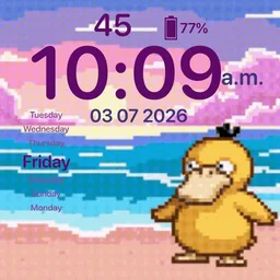 Psy duck Beach