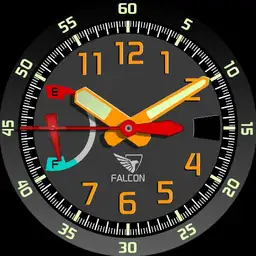 Brute FALCON Military Field Watch
