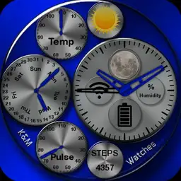 The CFO in blue