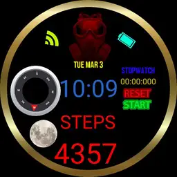 The crazy watch