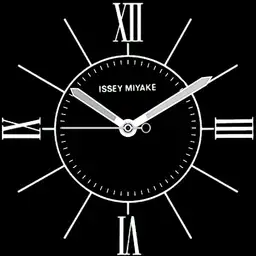 ISSEY MIYAKE Copy