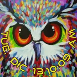The Owl
