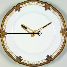 Elegant Dinnerware, Haviland Regis Gold