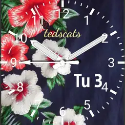 Hawaii 14