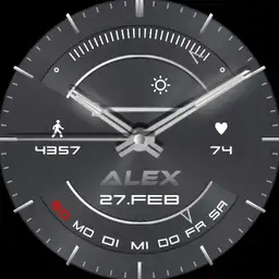Alex Segment Real 3D Steel
