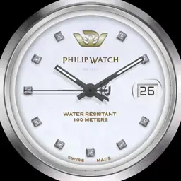 Nr. 3021 Philipp Watch