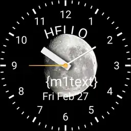 Moon Watch