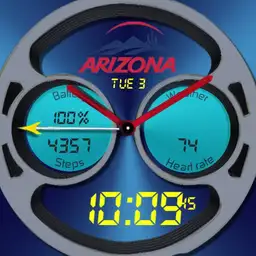 AZ Wildcats