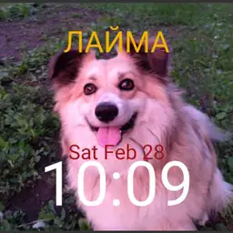 Laima