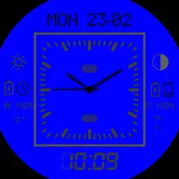LCD 5 peecons