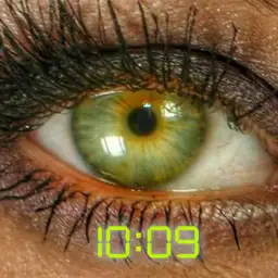 eye