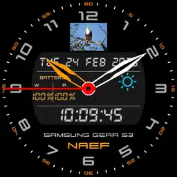 tmvsch watch zero Naef
