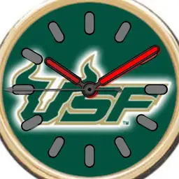 USF Bulls Copy