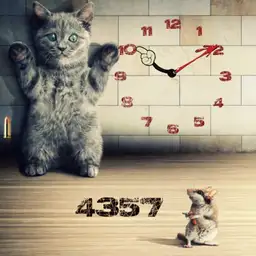 Katz und Maus