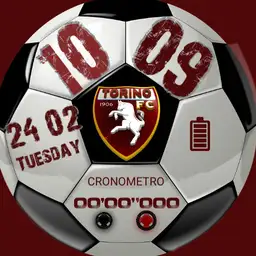 Torino fc 3