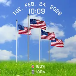 USA Flags and Eagle