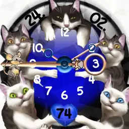Katzen Spiel