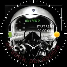 Pilot