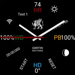 GRIFFIN ANYTHING Copy