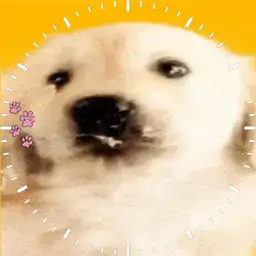 Dog licking the screen