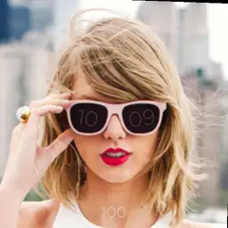 TS 1989