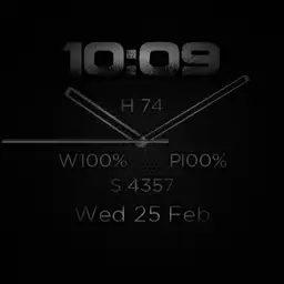 TL Watch 2 Grey Copy