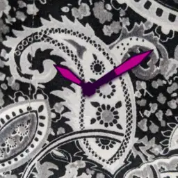 Paisley Black White