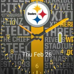 Steelers1