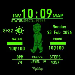 Pip-Boy 1 Copy