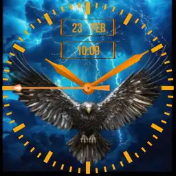 Wild Eagle watch