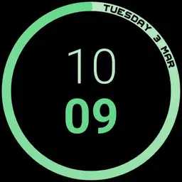 Pixel watch battery circle Copy