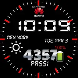 Giannis watch