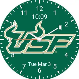 USF Bulls