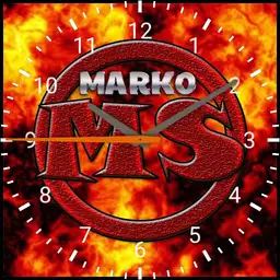 MS WATCH