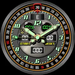 0248 ucolor compass watch Copy
