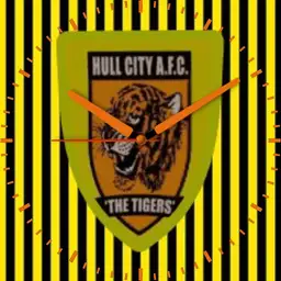 Hull City .