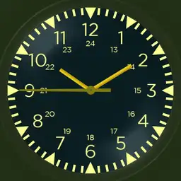 Army Basic