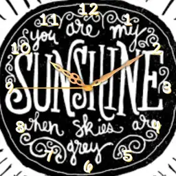 Sunny