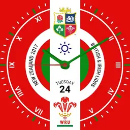 Lions / Wales Rugby Copy